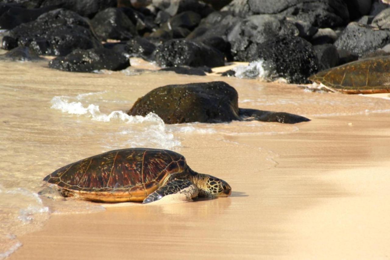 カハナ Kaleialoha 210ヴィラ エクステリア 写真